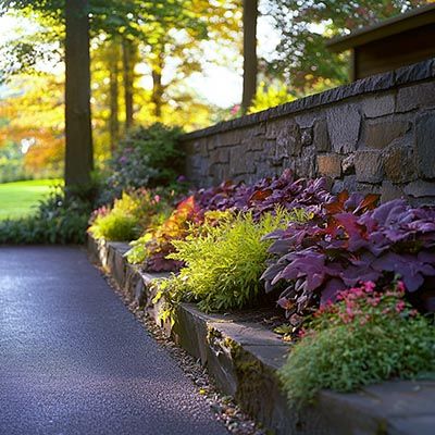 Plantation de heuchères avec outils de jardinage pour un entretien optimal - conseils et astuces de jardinage.